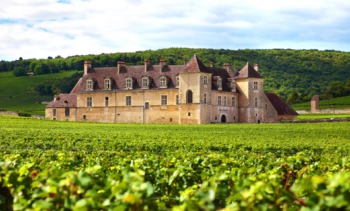 french vineyard chateau min